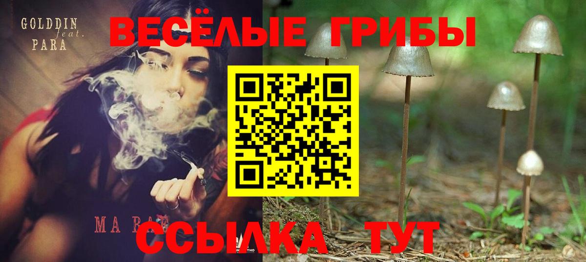 Псилоцибиновые грибы Magic Shrooms Назарово
