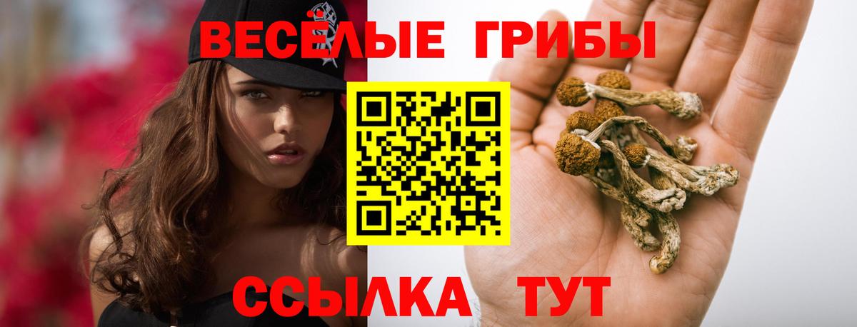 Галлюциногенные грибы Magic Shrooms  Вход с VPN  купить наркотик  Назарово 